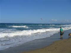 watching kite boarding on beachwalk with dogs watching kite boarding on beachwalk with dogs
