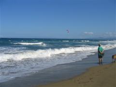 watching kite boarding on beachwalk with dogs