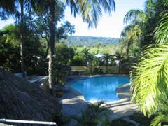 Gorgeous large pool in lush backyard garden