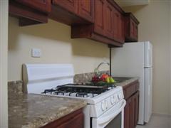 GE fridge + stove, double sink, beautiful counter-top