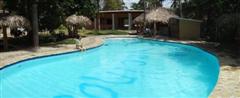 gorgeous large pool with shaded palapas